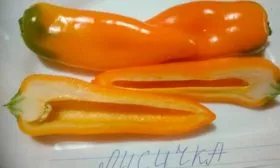 perec-lisichka в разрезе