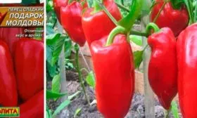 perec-podarok-moldlvy-6