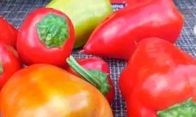 Плоды, их вкусовые качества и назначение