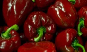 Плоды, их вкусовые качества и назначение