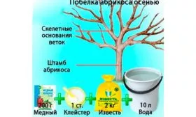 Побелка