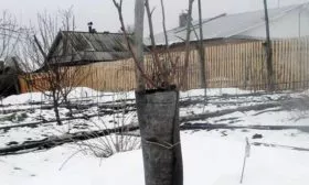 Подготовка к зиме