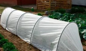 Подготовка к зиме