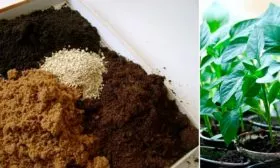 Подготовка почвы