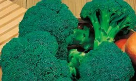 Полезные свойства брокколи