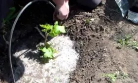 Правила посадки