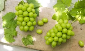 шайн-мускат1