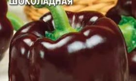 Шоколадная