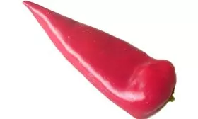 Сладкий перец Аманда, Сербия