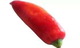 Сладкий перец Delfina, Сербия