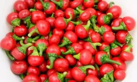 Szentesi Cherry Pepper