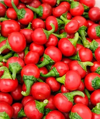 Szentesi Cherry Pepper