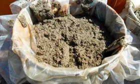 Уход за брокколи в открытом грунте