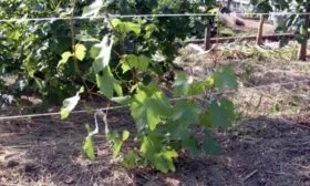 Выбор подходящего места