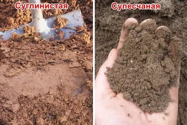 Выбор подходящего участка