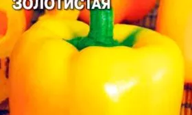 Золотистая f1