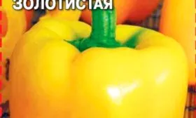 Золотистая