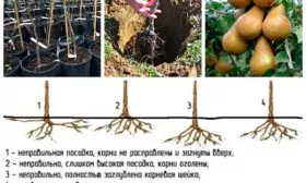 Правила посадки