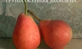 Урожайность