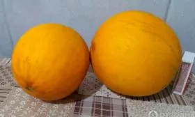 Дыньки