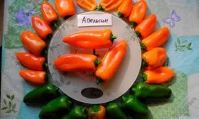 Этапы созревания