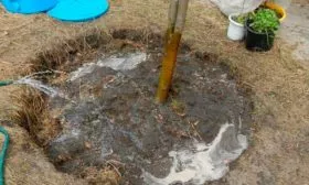 Благоприятные условия для выращивания и посадки