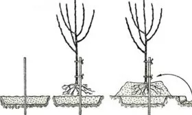 порядок посадки