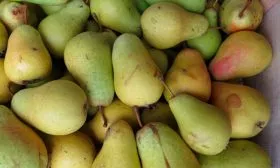 Урожай груш