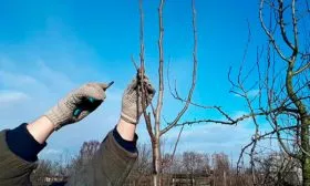 Формировка