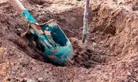 Особенности посадки