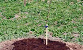 Особенности посадки