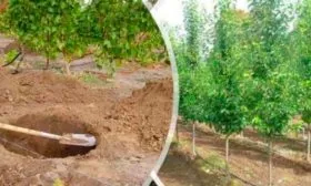 Правила посадки