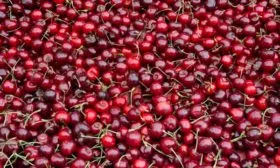 Сбор и сохранение урожая