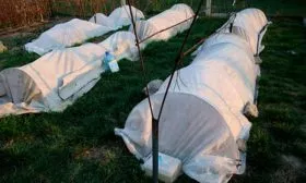 Укрытие на зиму