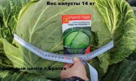 Вес капусты