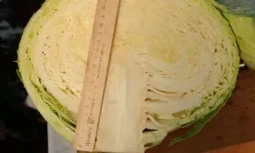 Использование