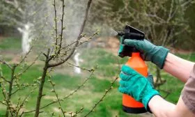 Опрыскивание