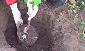 Правила посадки