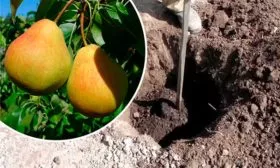 Правила посадки