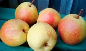 grusha-rogneda- вкус