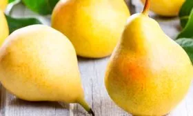 Груша Сахарная