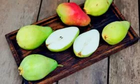 груша Санта Мария в разрезе