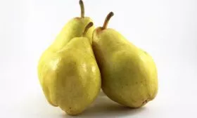 Характеристика груш и химический состав