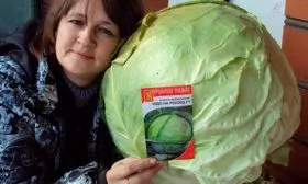 kapusta-chudo-na-rekord-f1