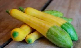 Описание плодов и урожайность