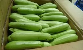 сбор и хранение