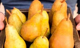 Особенности плодов и вкусовые качества