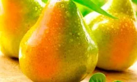 Плоды и их вкусовые характеристики