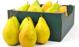 Плоды и их вкусовые характеристики