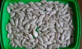 Посев семян в открытый грунт